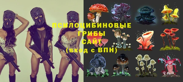 гашик Алзамай