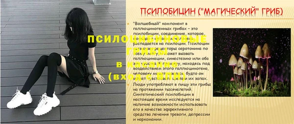 гашик Алзамай