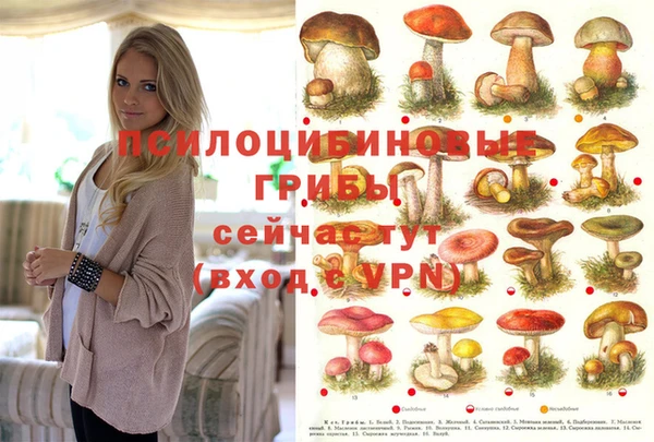 гашик Алзамай