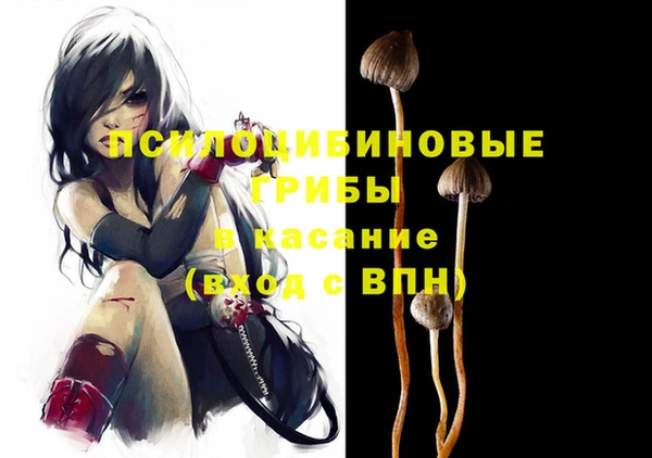 гашик Алзамай